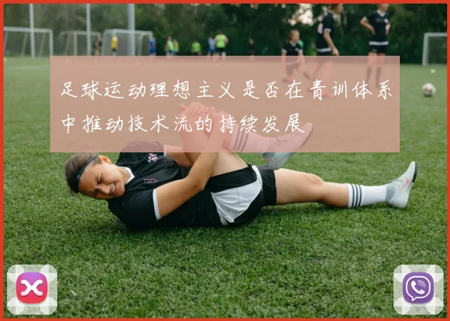 足球运动理想主义是否在青训体系中推动技术流的持续发展