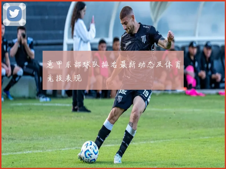意甲东部球队排名最新动态及体育竞技表现