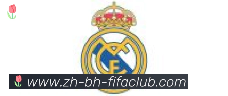世界杯直播合作伙伴
